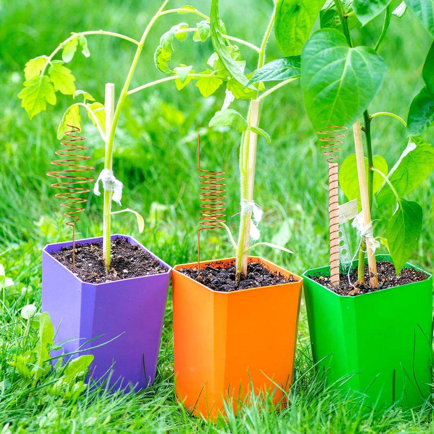 Ether Antennas for Plants – Premium Copper Electroculture Garden Stakes