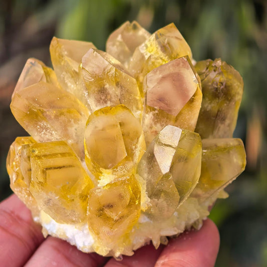 Natural Citrine Crystal Group – Raw Quartz Cluster