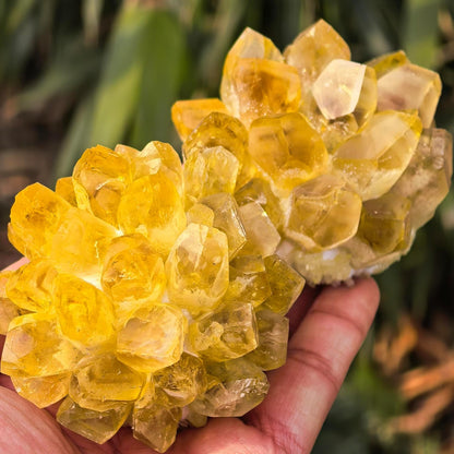 Natural Citrine Crystal Group – Raw Quartz Cluster