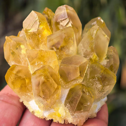 Natural Citrine Crystal Group – Raw Quartz Cluster