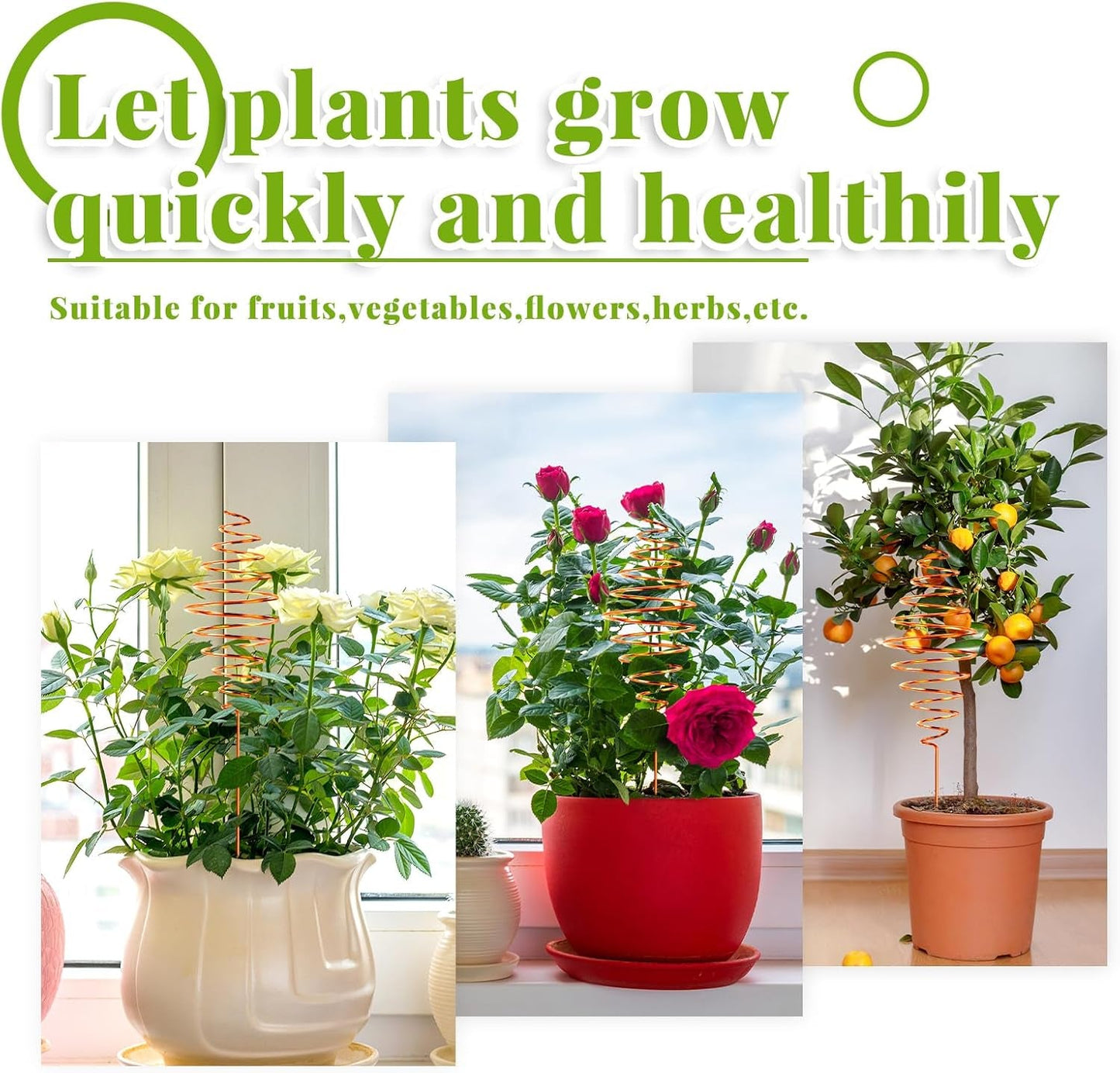 Ether Antennas for Plants – Premium Copper Electroculture Garden Stakes