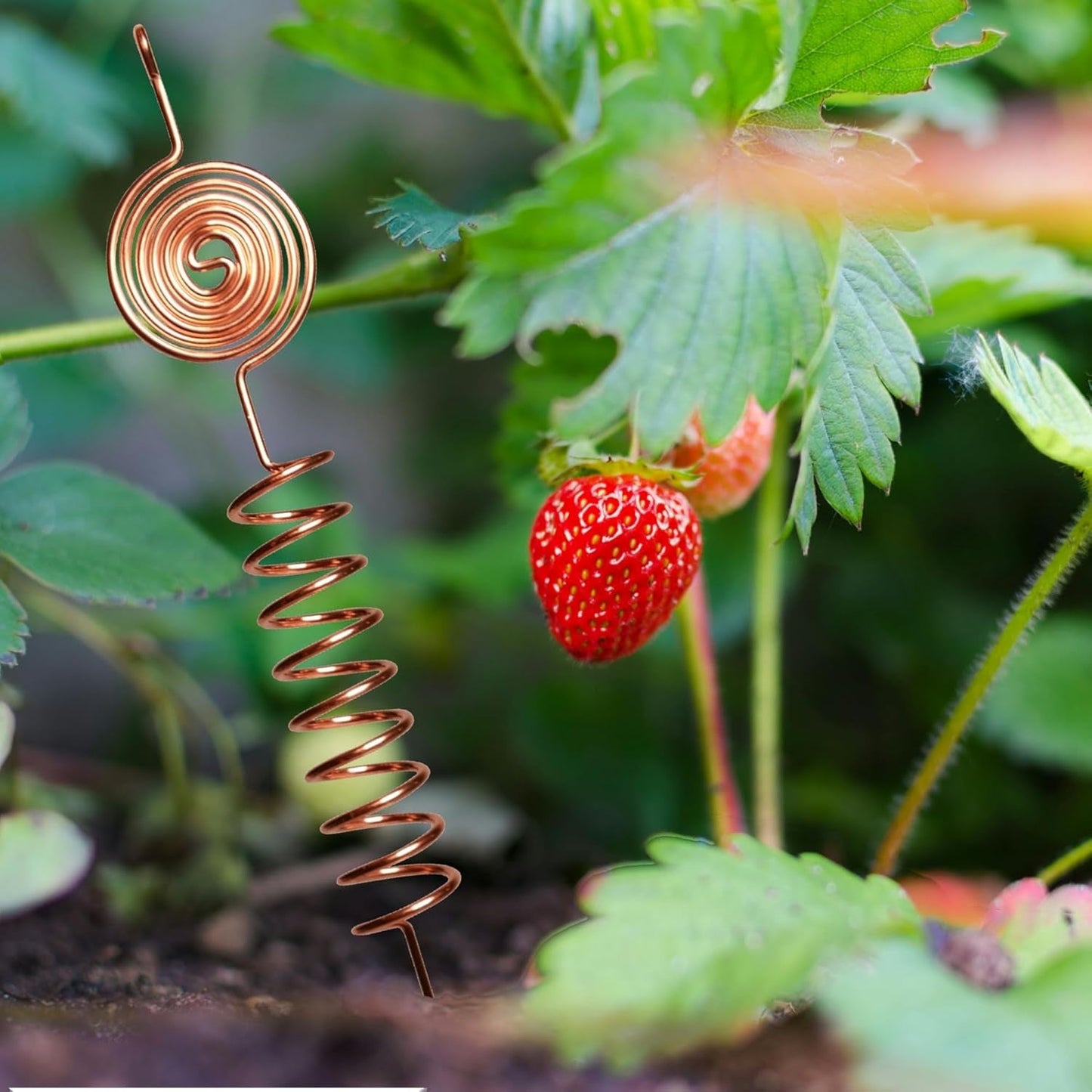 Premium Electroculture Copper Gardening Antenna Kit – Tesla-Inspired Copper Coils