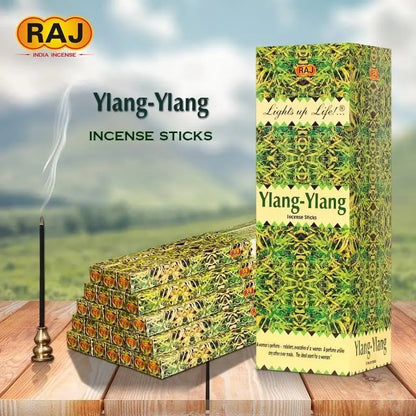Natural White Sage & Sandalwood Incense Sticks
