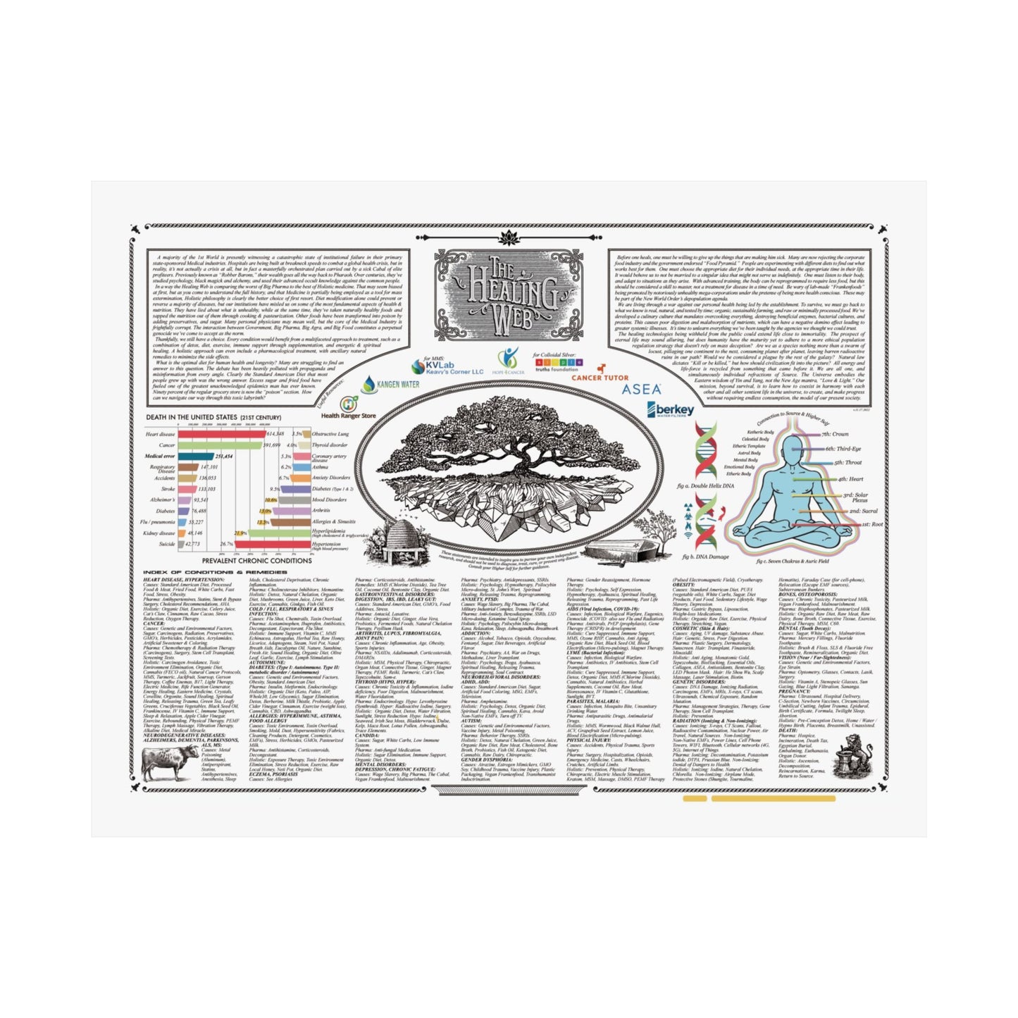 'Healing Web Instructions' - Poster (Second Page)