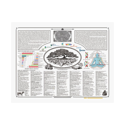 'Healing Web Instructions' - Poster (Second Page)