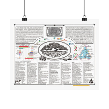 THE WHITE RABBIT - Posters, Maps & Truthful Books