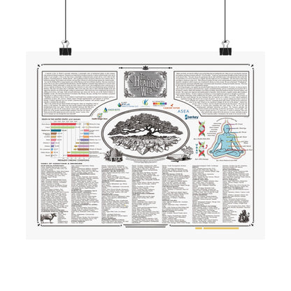 'Healing Web Instructions' - Poster (Second Page)