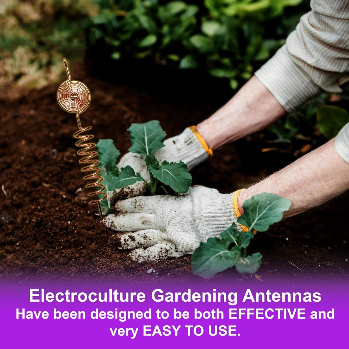 Premium Electroculture Copper Gardening Antenna Kit – Tesla-Inspired Copper Coils