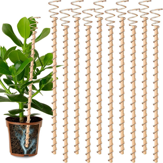 Electroculture Plant Antennas – Premium Copper Garden Energy Stakes